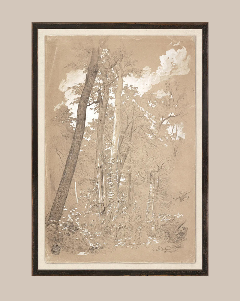 Chestnut River Art
