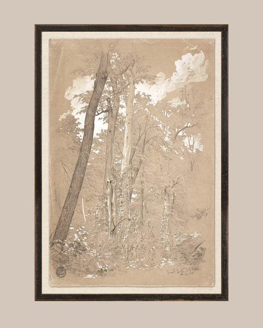 Chestnut River Art