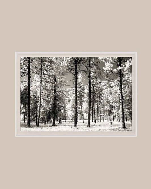 Forest Stroll Art
